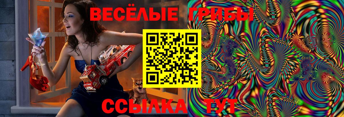 Псилоцибиновые грибы MAGIC MUSHROOMS Ногинск